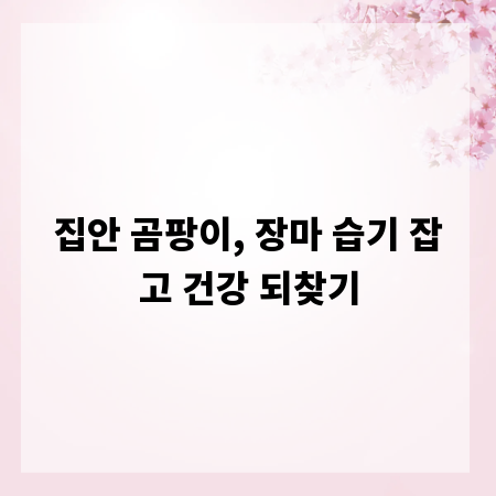 집안 곰팡이, 장마 습기 잡고 건강 되찾기