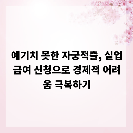 예기치 못한 자궁적출, 실업급여 신청으로 경제적 어려움 극복하기