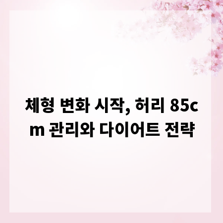 체형 변화 시작, 허리 85cm 관리와 다이어트 전략