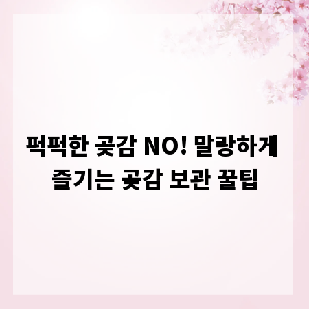 퍽퍽한 곶감 NO! 말랑하게 즐기는 곶감 보관 꿀팁