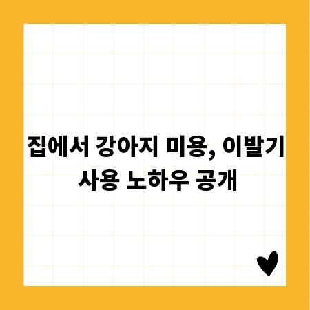 집에서 강아지 미용, 이발기 사용 노하우 공개