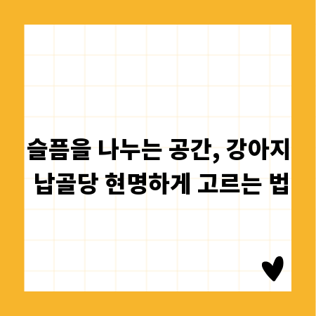 슬픔을 나누는 공간, 강아지 납골당 현명하게 고르는 법