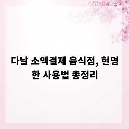 다날 소액결제 음식점, 현명한 사용법 총정리
