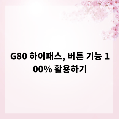 G80 하이패스, 버튼 기능 100% 활용하기