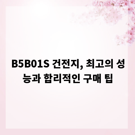 B5B01S 건전지, 최고의 성능과 합리적인 구매 팁