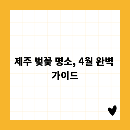 제주 벚꽃 명소, 4월 완벽 가이드