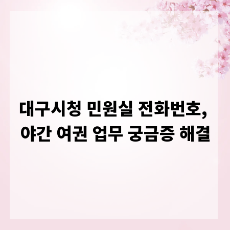 대구시청 민원실 전화번호, 야간 여권 업무 궁금증 해결