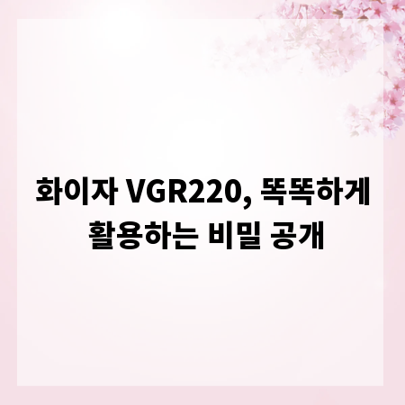 화이자 VGR220, 똑똑하게 활용하는 비밀 공개