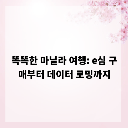 똑똑한 마닐라 여행: e심 구매부터 데이터 로밍까지