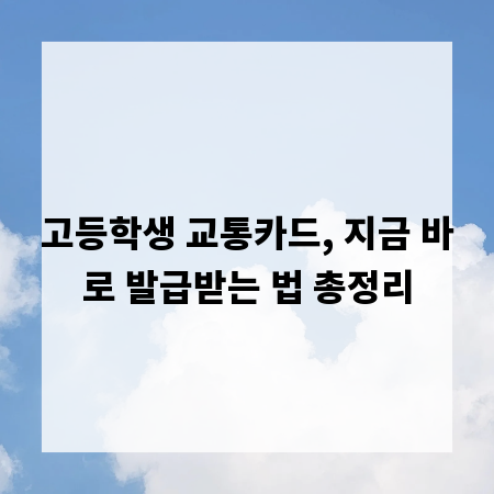 고등학생 교통카드, 지금 바로 발급받는 법 총정리