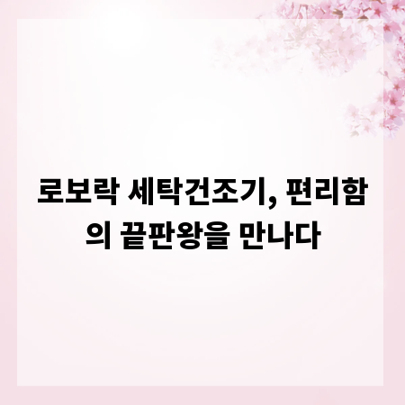 로보락 세탁건조기, 편리함의 끝판왕을 만나다