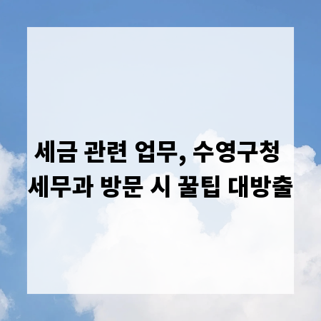 세금 관련 업무, 수영구청 세무과 방문 시 꿀팁 대방출