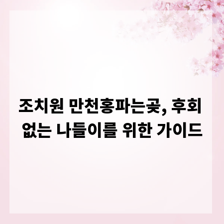 조치원 만천홍파는곶, 후회 없는 나들이를 위한 가이드