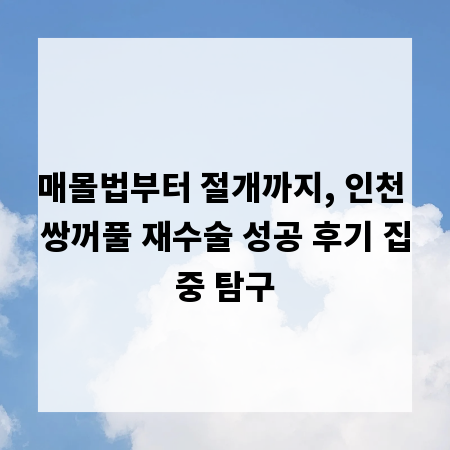 매몰법부터 절개까지, 인천 쌍꺼풀 재수술 성공 후기 집중 탐구