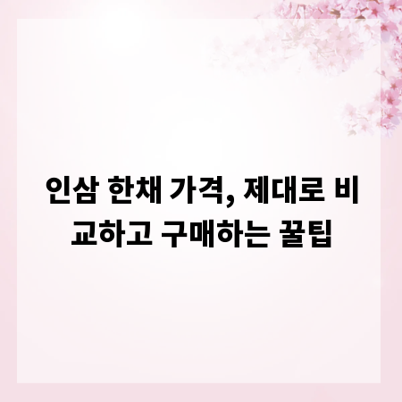 인삼 한채 가격, 제대로 비교하고 구매하는 꿀팁