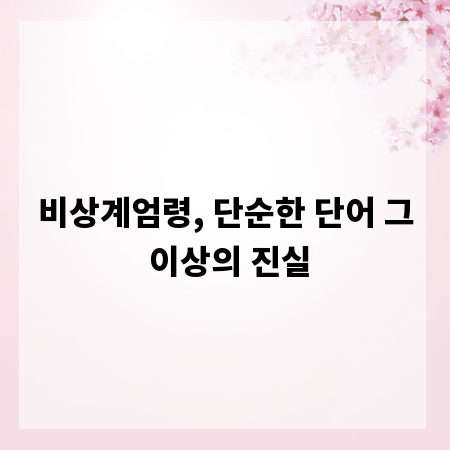 비상계엄령, 단순한 단어 그 이상의 진실